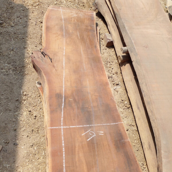 acacia wood Plank
